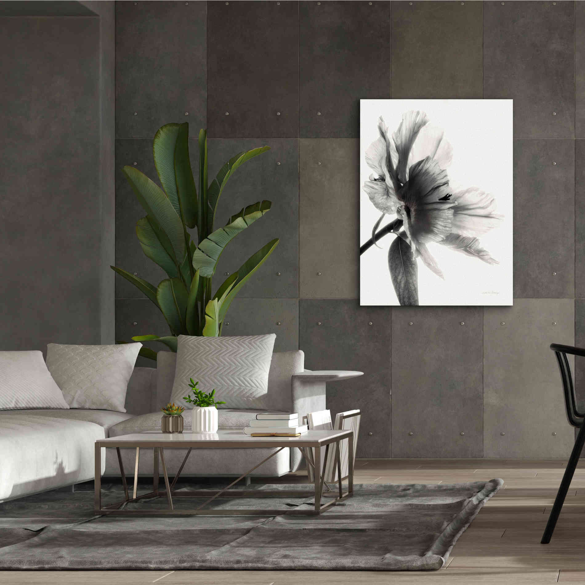 'Translucent Peony IIBW' by Debra Van Swearingen, Canvas Wall Art,40 x 54
