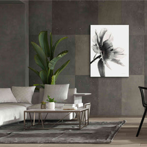 'Translucent Peony IIBW' by Debra Van Swearingen, Canvas Wall Art,40 x 54