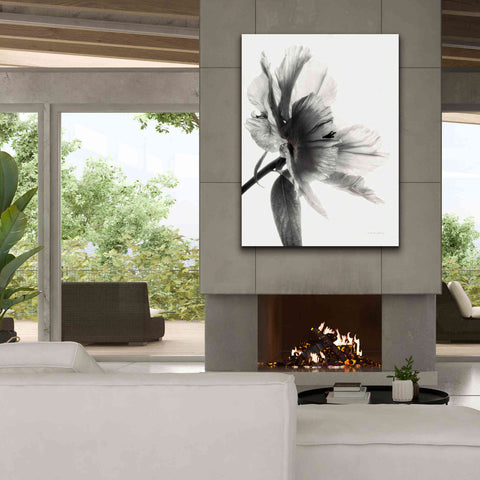 Image of 'Translucent Peony IIBW' by Debra Van Swearingen, Canvas Wall Art,40 x 54