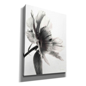 'Translucent Peony IIBW' by Debra Van Swearingen, Canvas Wall Art,12x16x1.1x0,20x24x1.1x0,26x30x1.74x0,40x54x1.74x0