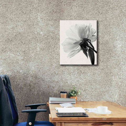 Image of 'Translucent Peony IIIBW' by Debra Van Swearingen, Canvas Wall Art,20 x 24