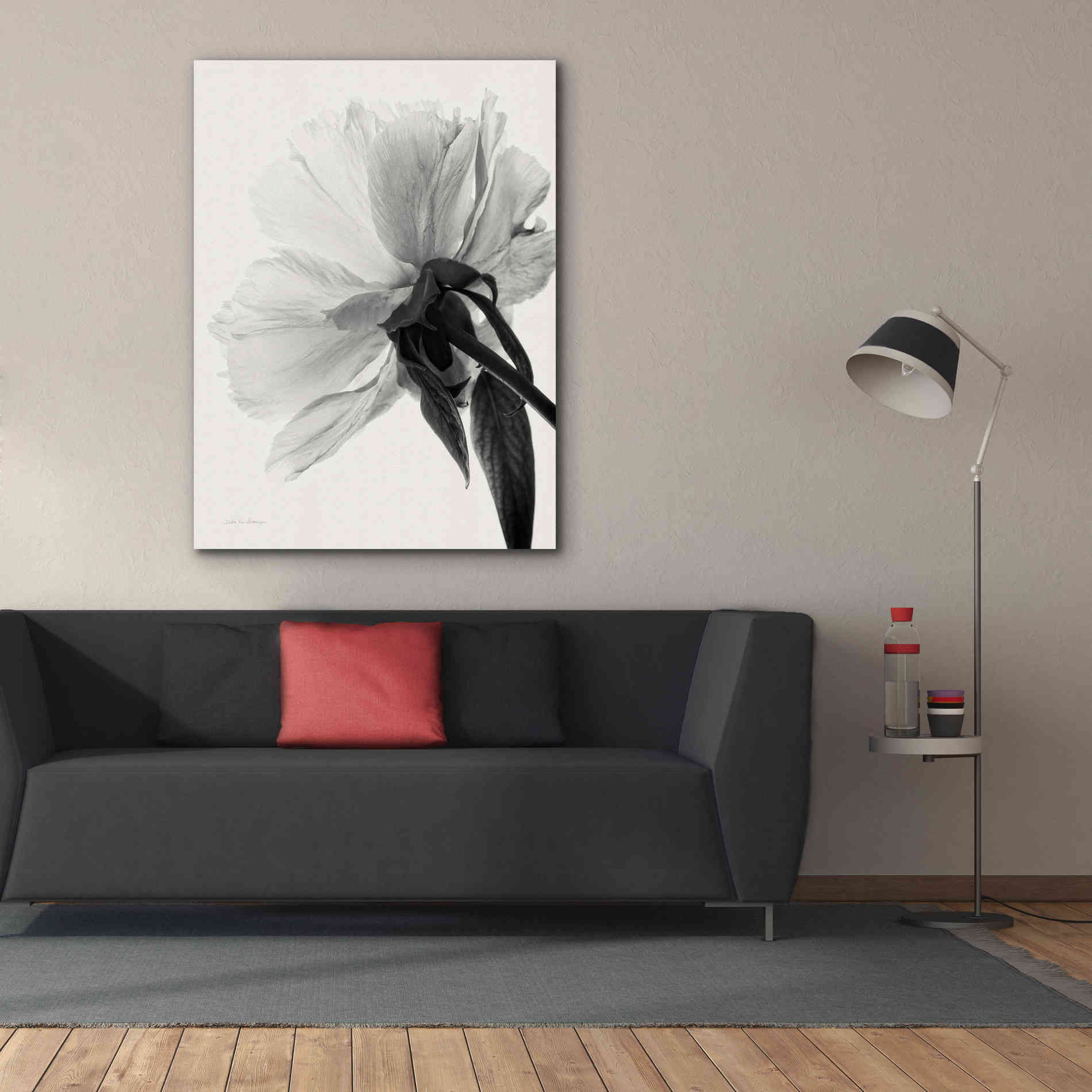 'Translucent Peony IIIBW' by Debra Van Swearingen, Canvas Wall Art,40 x 54