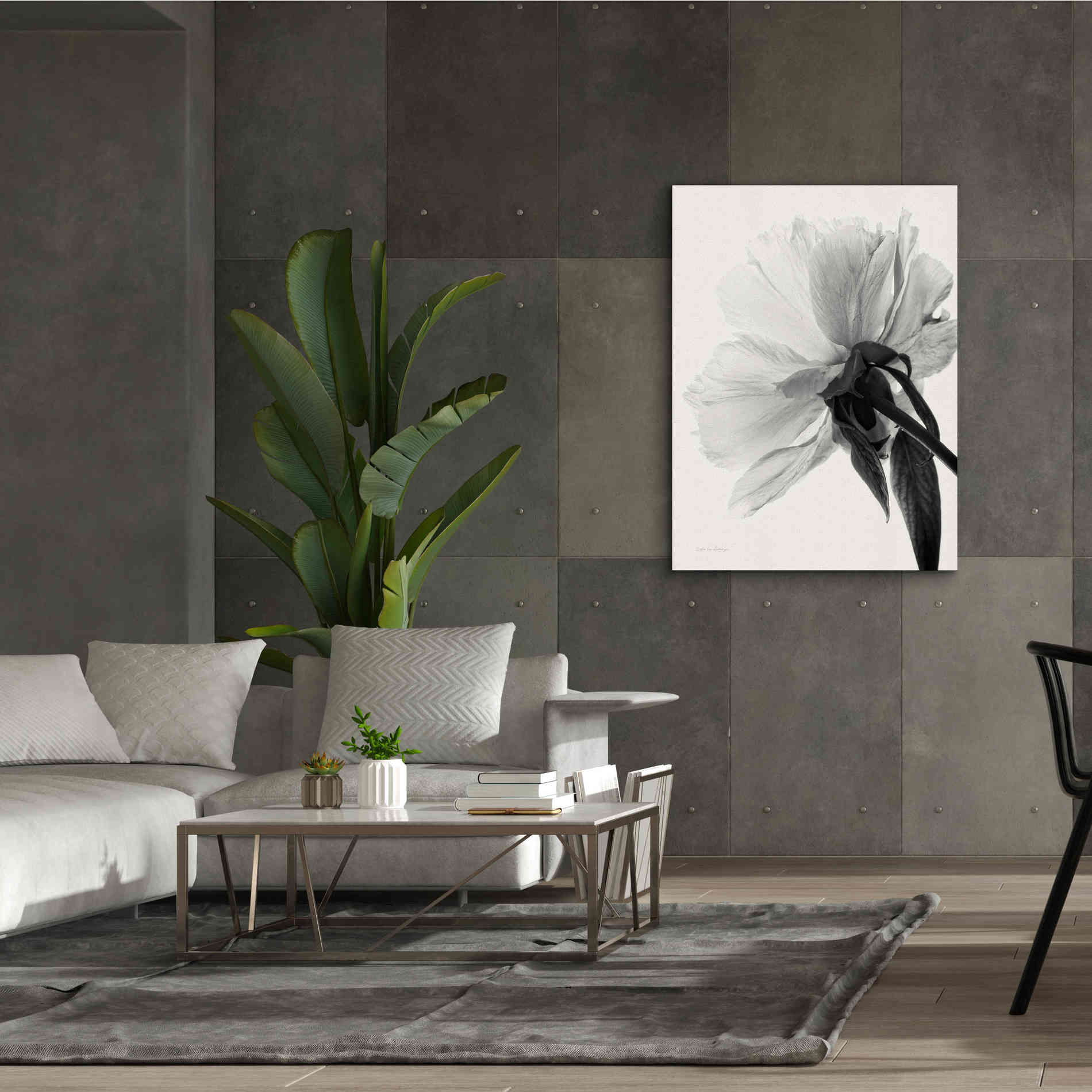 'Translucent Peony IIIBW' by Debra Van Swearingen, Canvas Wall Art,40 x 54