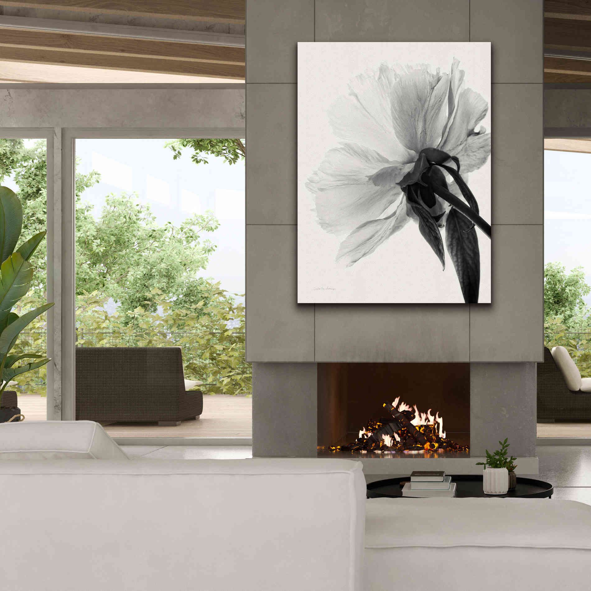 'Translucent Peony IIIBW' by Debra Van Swearingen, Canvas Wall Art,40 x 54