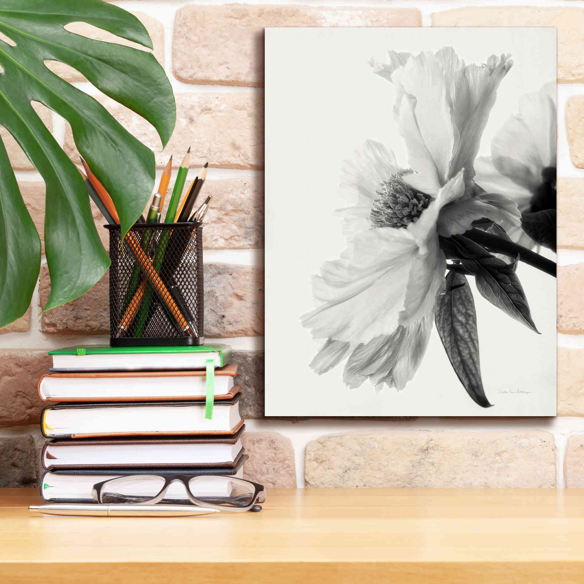 'Translucent Peony IVBW' by Debra Van Swearingen, Canvas Wall Art,12 x 16
