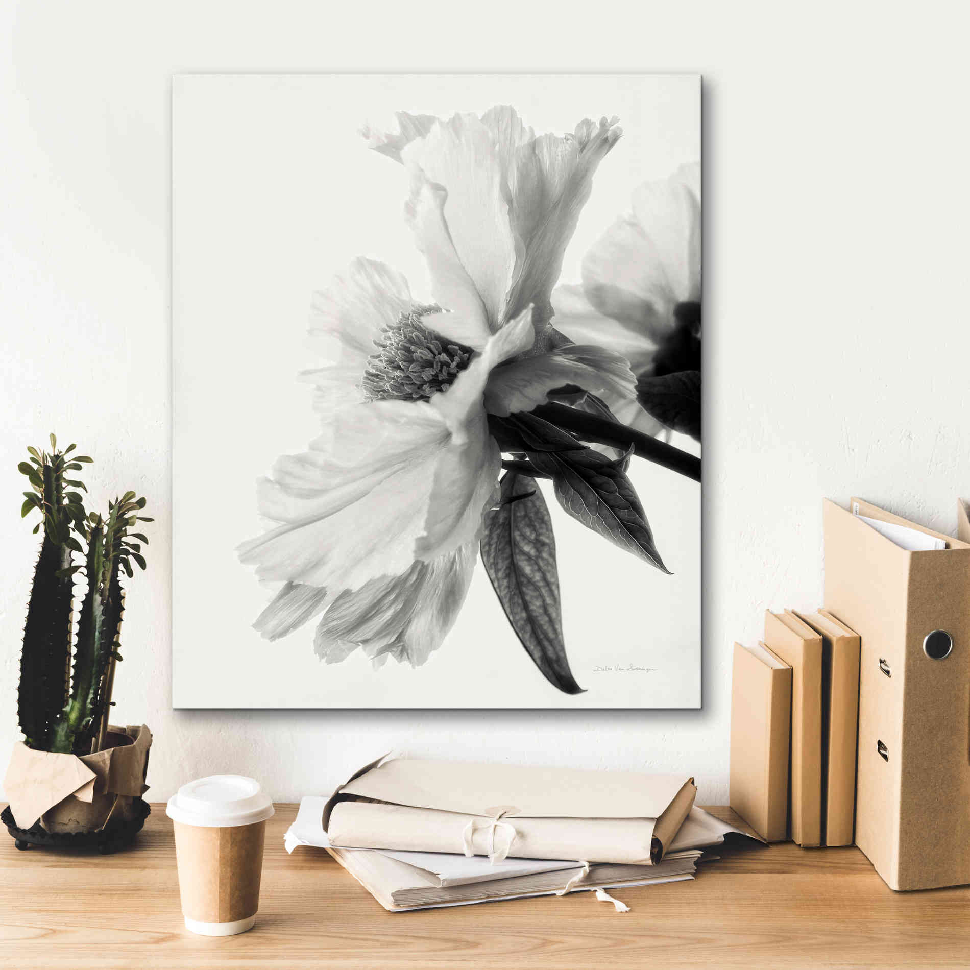 'Translucent Peony IVBW' by Debra Van Swearingen, Canvas Wall Art,20 x 24
