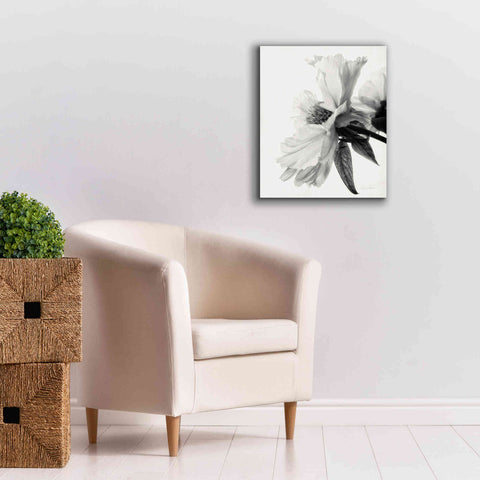 Image of 'Translucent Peony IVBW' by Debra Van Swearingen, Canvas Wall Art,20 x 24