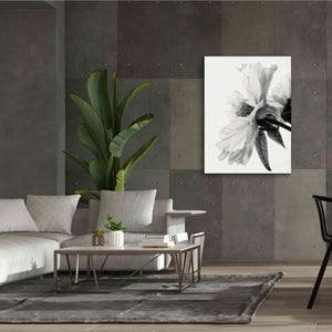 'Translucent Peony IVBW' by Debra Van Swearingen, Canvas Wall Art,40 x 54