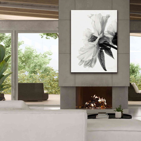 Image of 'Translucent Peony IVBW' by Debra Van Swearingen, Canvas Wall Art,40 x 54