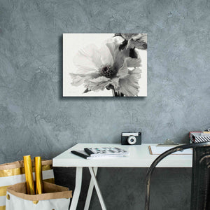 'Translucent Peony VBW' by Debra Van Swearingen, Canvas Wall Art,16 x 12