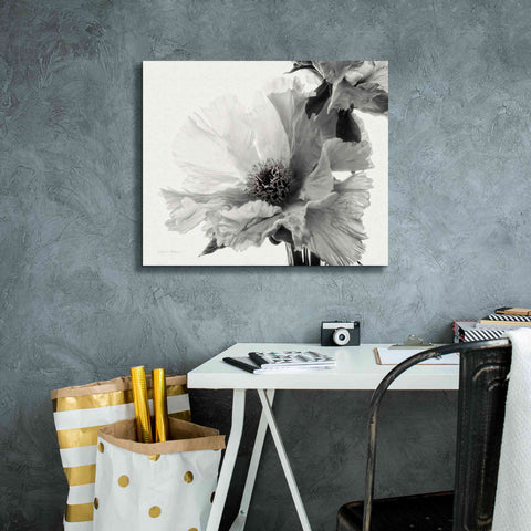 Image of 'Translucent Peony VBW' by Debra Van Swearingen, Canvas Wall Art,24 x 20