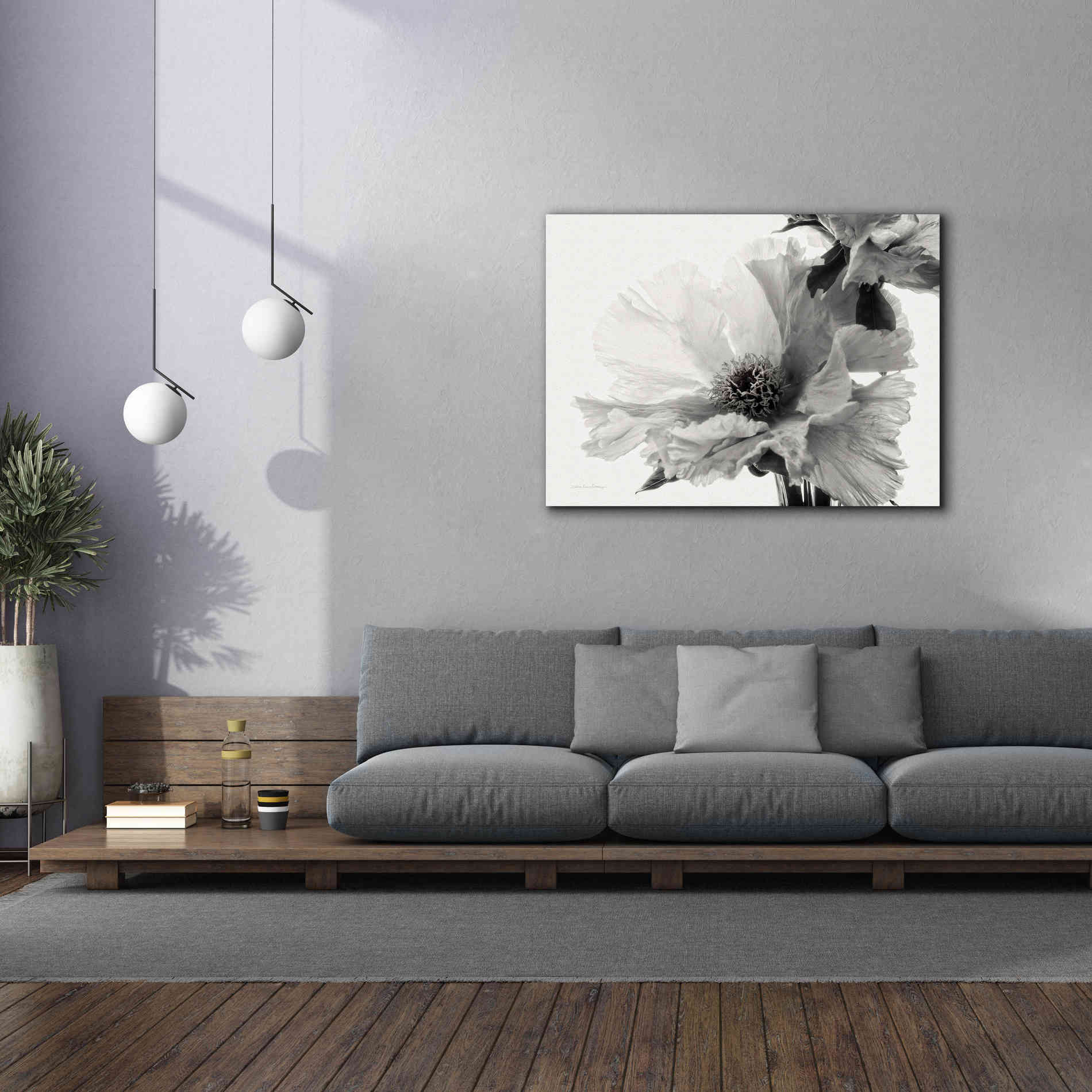 'Translucent Peony VBW' by Debra Van Swearingen, Canvas Wall Art,54 x 40