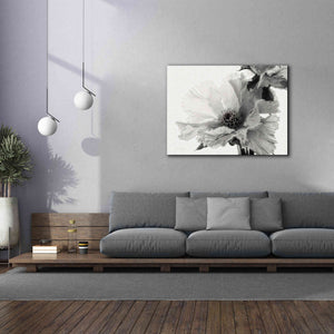 'Translucent Peony VBW' by Debra Van Swearingen, Canvas Wall Art,54 x 40