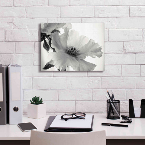 Image of 'Translucent Peony VIBW' by Debra Van Swearingen, Canvas Wall Art,16 x 12