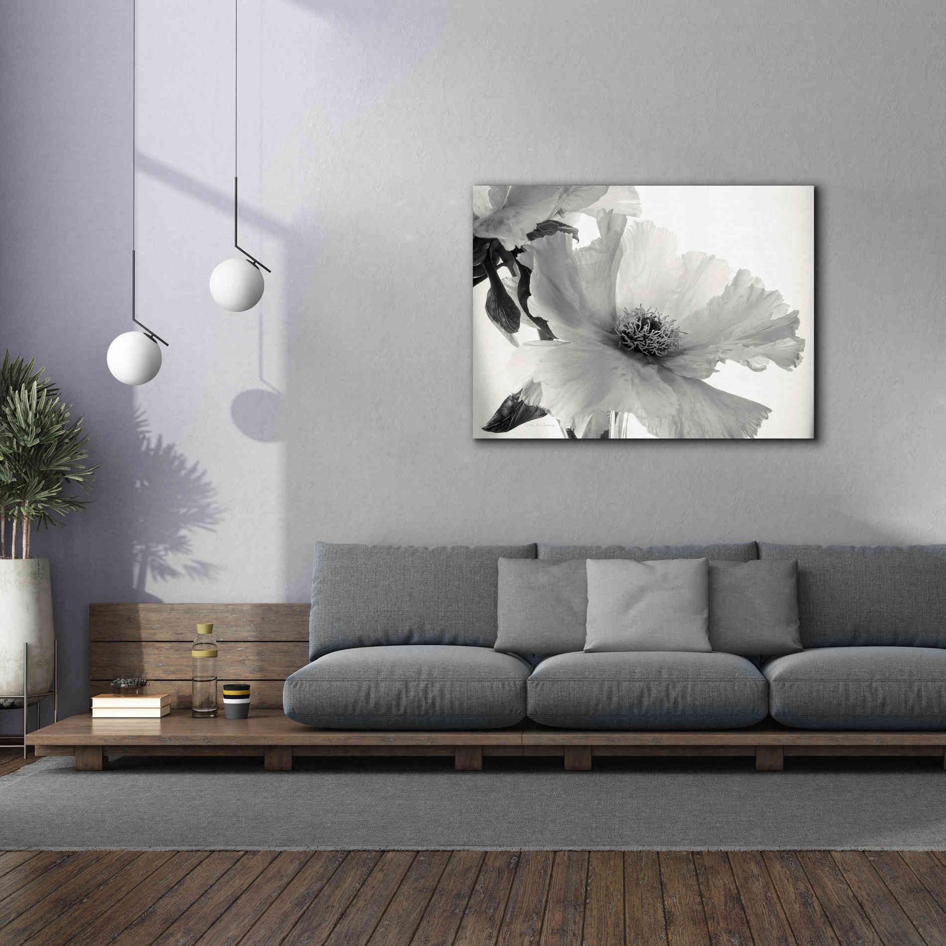 'Translucent Peony VIBW' by Debra Van Swearingen, Canvas Wall Art,54 x 40