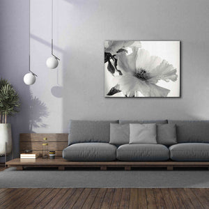 'Translucent Peony VIBW' by Debra Van Swearingen, Canvas Wall Art,54 x 40