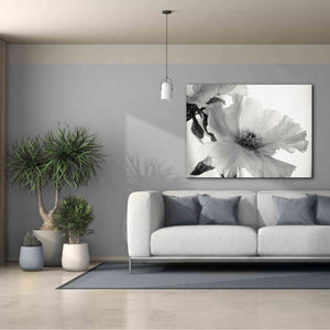 'Translucent Peony VIBW' by Debra Van Swearingen, Canvas Wall Art,54 x 40
