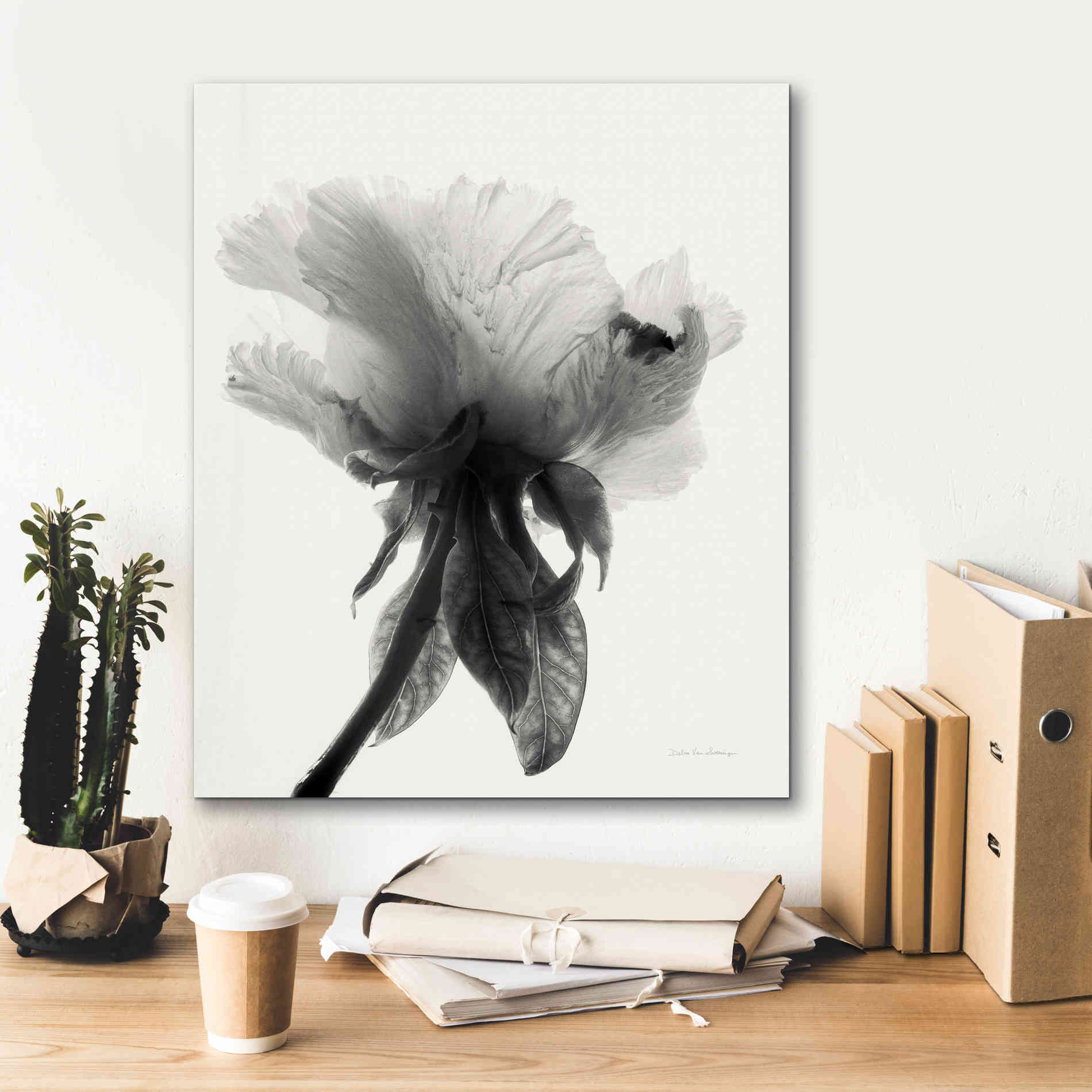 'Translucent Peony VIIBW' by Debra Van Swearingen, Canvas Wall Art,20 x 24