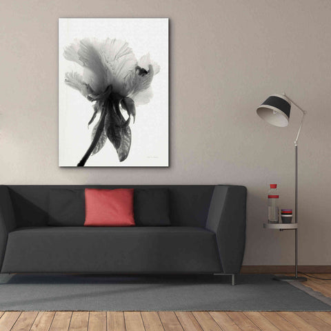 Image of 'Translucent Peony VIIBW' by Debra Van Swearingen, Canvas Wall Art,40 x 54