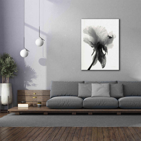 Image of 'Translucent Peony VIIBW' by Debra Van Swearingen, Canvas Wall Art,40 x 54