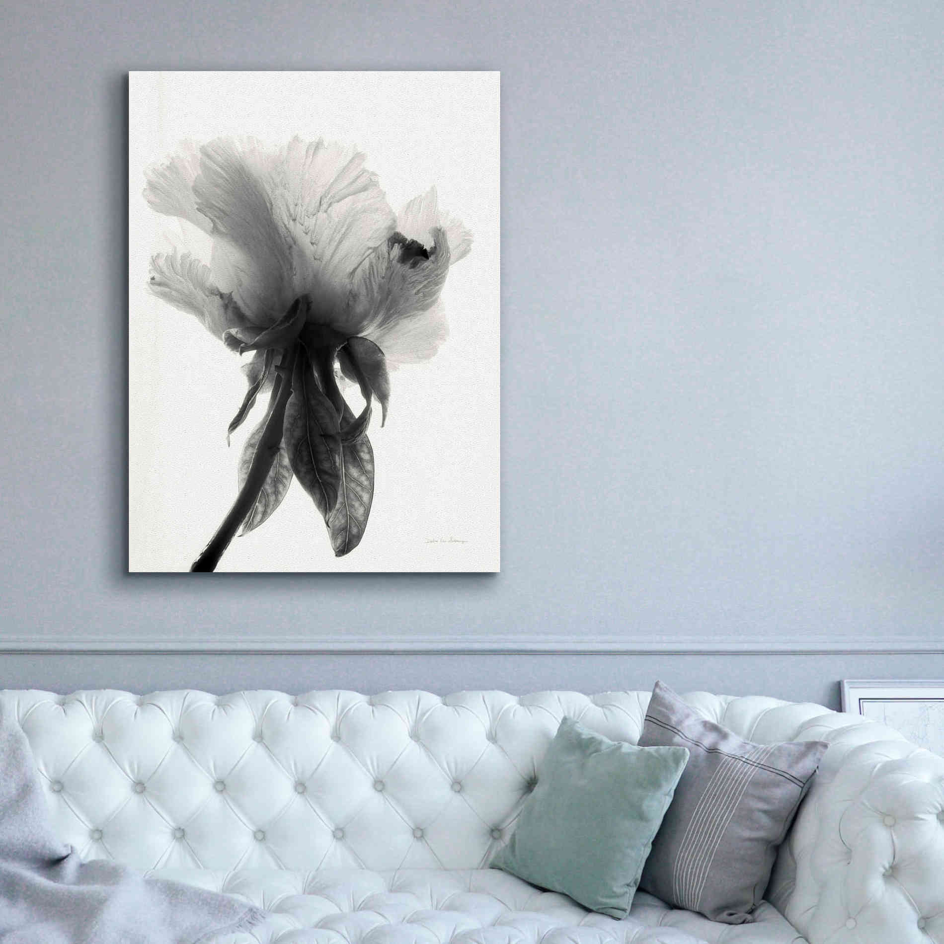 'Translucent Peony VIIBW' by Debra Van Swearingen, Canvas Wall Art,40 x 54