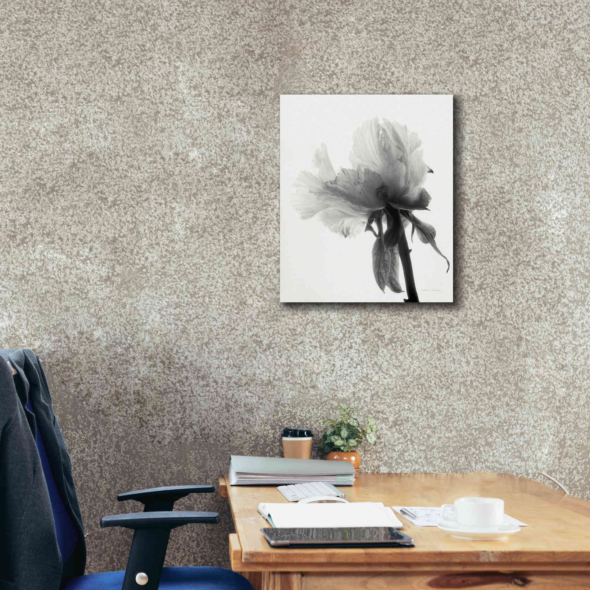 'Translucent Peony VIIIBW' by Debra Van Swearingen, Canvas Wall Art,20 x 24