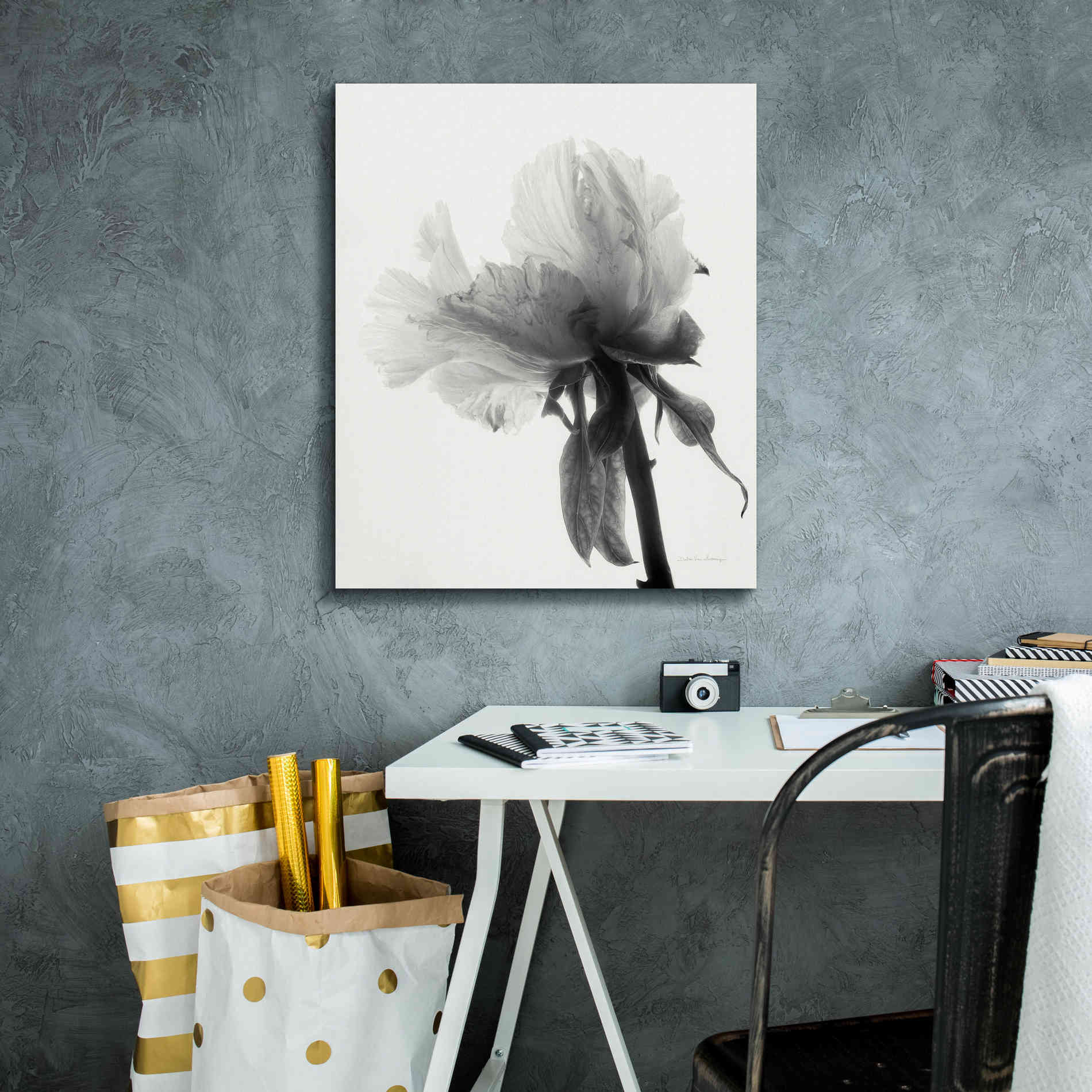'Translucent Peony VIIIBW' by Debra Van Swearingen, Canvas Wall Art,20 x 24