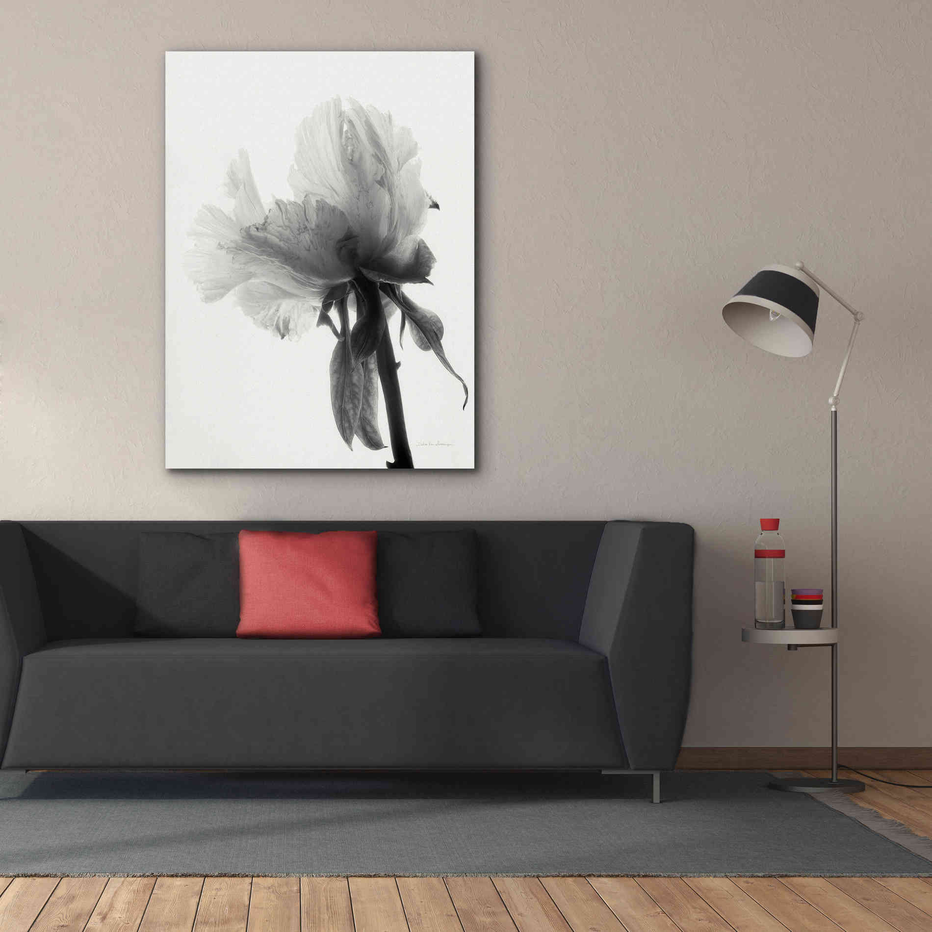 'Translucent Peony VIIIBW' by Debra Van Swearingen, Canvas Wall Art,40 x 54