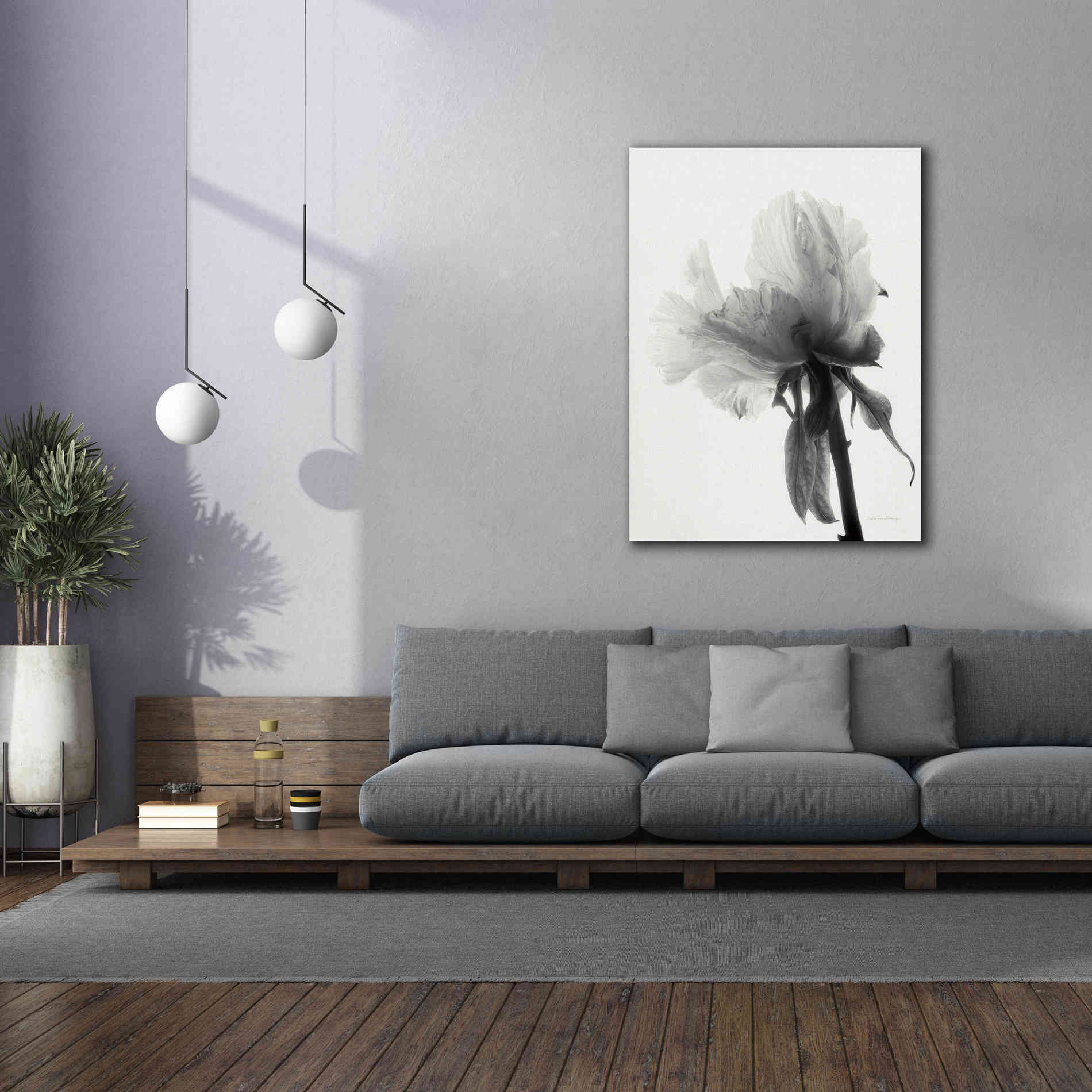 'Translucent Peony VIIIBW' by Debra Van Swearingen, Canvas Wall Art,40 x 54