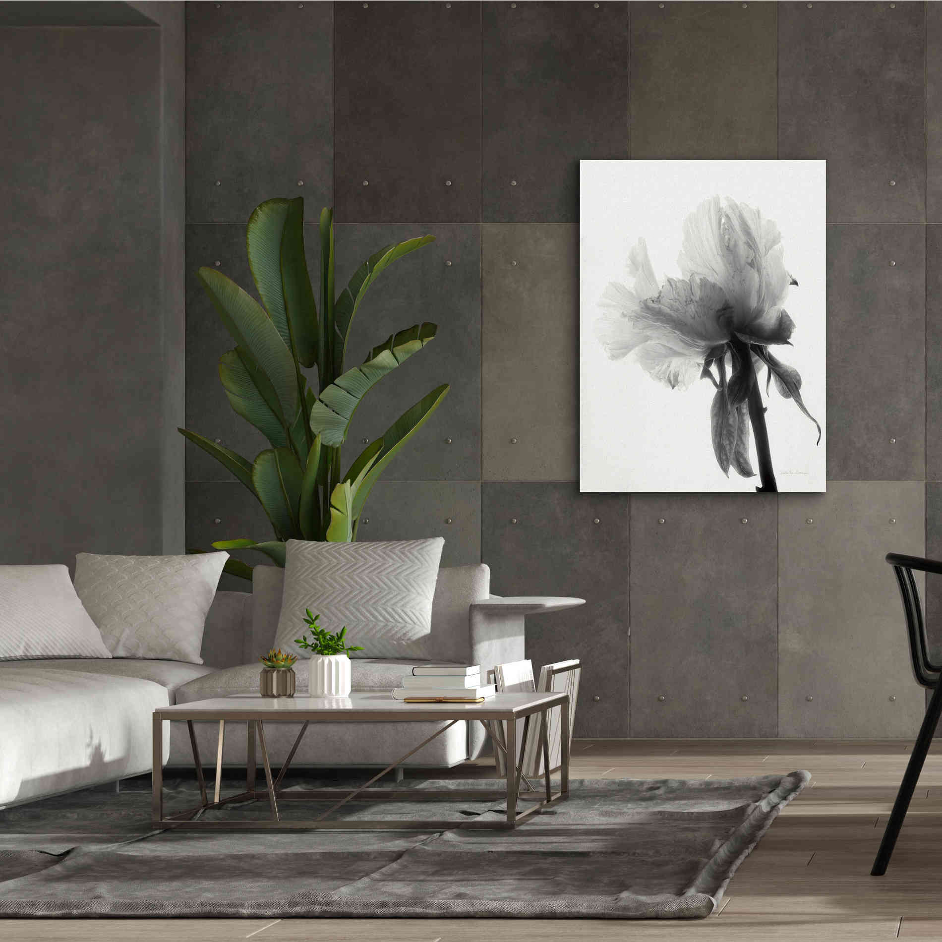 'Translucent Peony VIIIBW' by Debra Van Swearingen, Canvas Wall Art,40 x 54