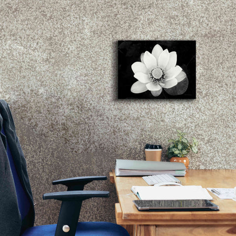 Image of 'Lotus Flower II v2' by Debra Van Swearingen, Canvas Wall Art,16 x 12