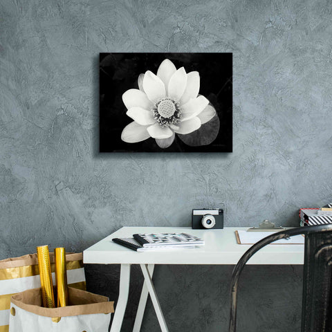 Image of 'Lotus Flower II v2' by Debra Van Swearingen, Canvas Wall Art,16 x 12