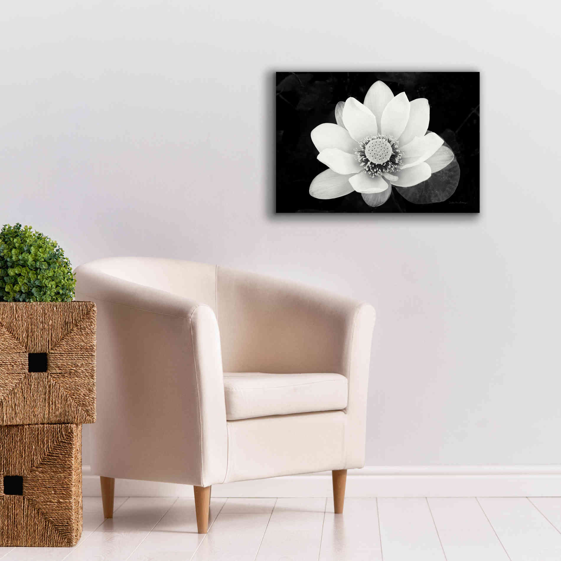 'Lotus Flower II v2' by Debra Van Swearingen, Canvas Wall Art,26 x 18
