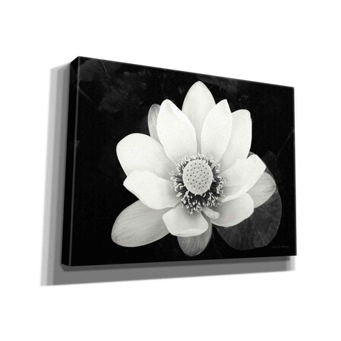 Image of 'Lotus Flower II v2' by Debra Van Swearingen, Canvas Wall Art,16x12x1.1x0,26x18x1.1x0,34x26x1.74x0,54x40x1.74x0