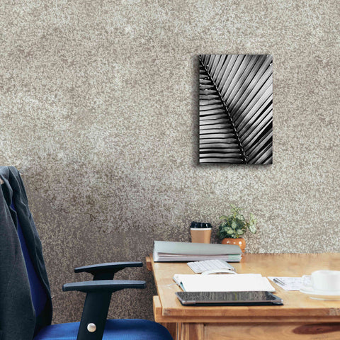 Image of 'Palm Frond I' by Debra Van Swearingen, Canvas Wall Art,12 x 18