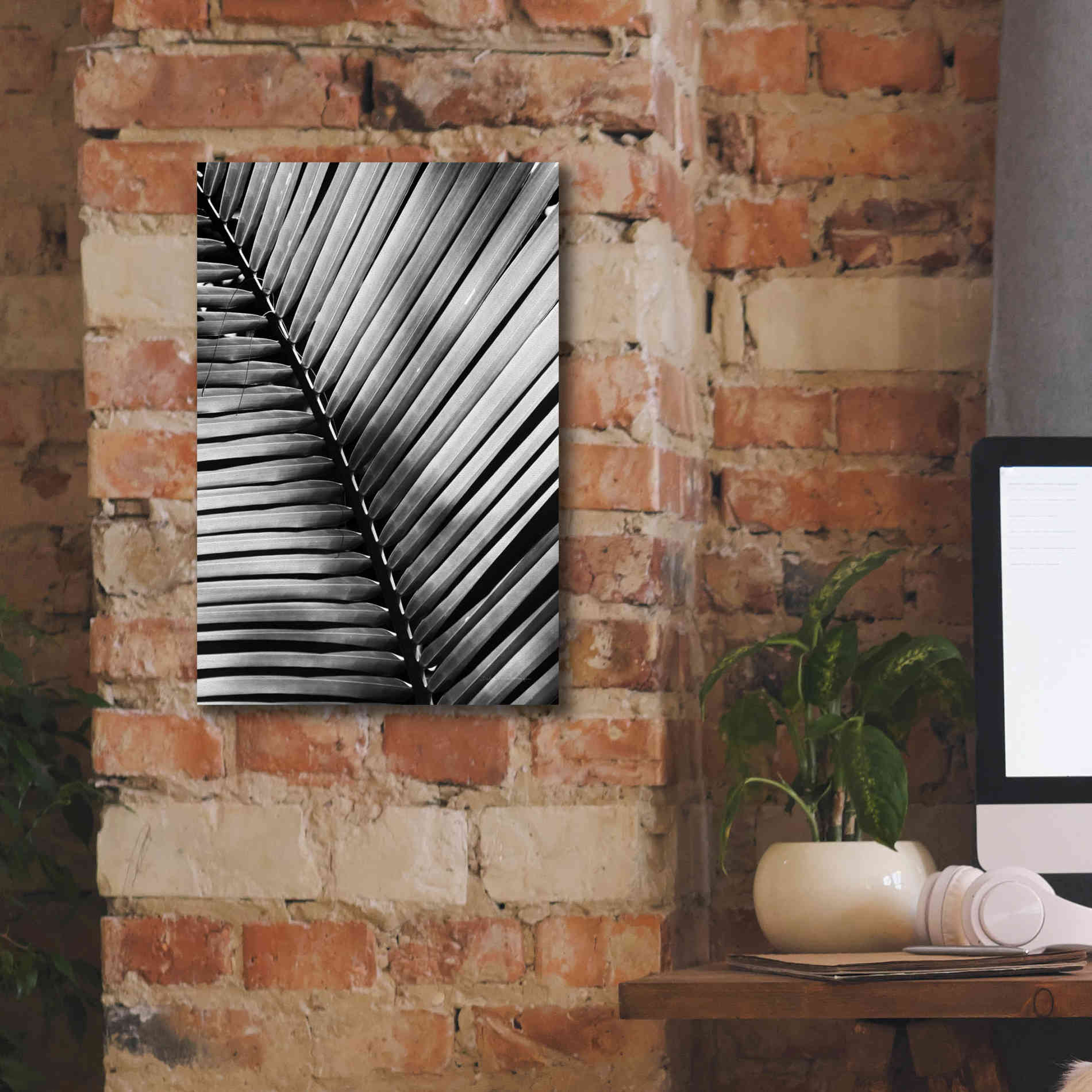 'Palm Frond I' by Debra Van Swearingen, Canvas Wall Art,12 x 18