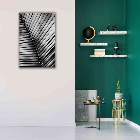 Image of 'Palm Frond I' by Debra Van Swearingen, Canvas Wall Art,26 x 40