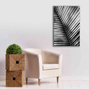 'Palm Frond I' by Debra Van Swearingen, Canvas Wall Art,26 x 40