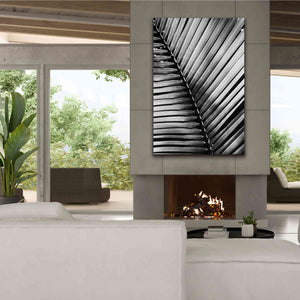 'Palm Frond I' by Debra Van Swearingen, Canvas Wall Art,40 x 60