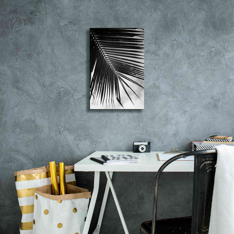 Image of 'Palm Frond II' by Debra Van Swearingen, Canvas Wall Art,12 x 18
