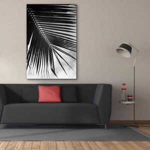 'Palm Frond II' by Debra Van Swearingen, Canvas Wall Art,40 x 60