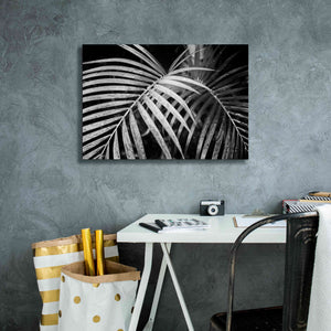 'Palm Fronds' by Debra Van Swearingen, Canvas Wall Art,26 x 18