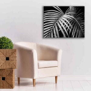 'Palm Fronds' by Debra Van Swearingen, Canvas Wall Art,34 x 26