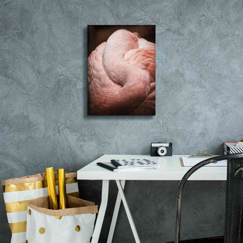Image of 'Chilean Flamingo I' by Debra Van Swearingen, Canvas Wall Art,12 x 16