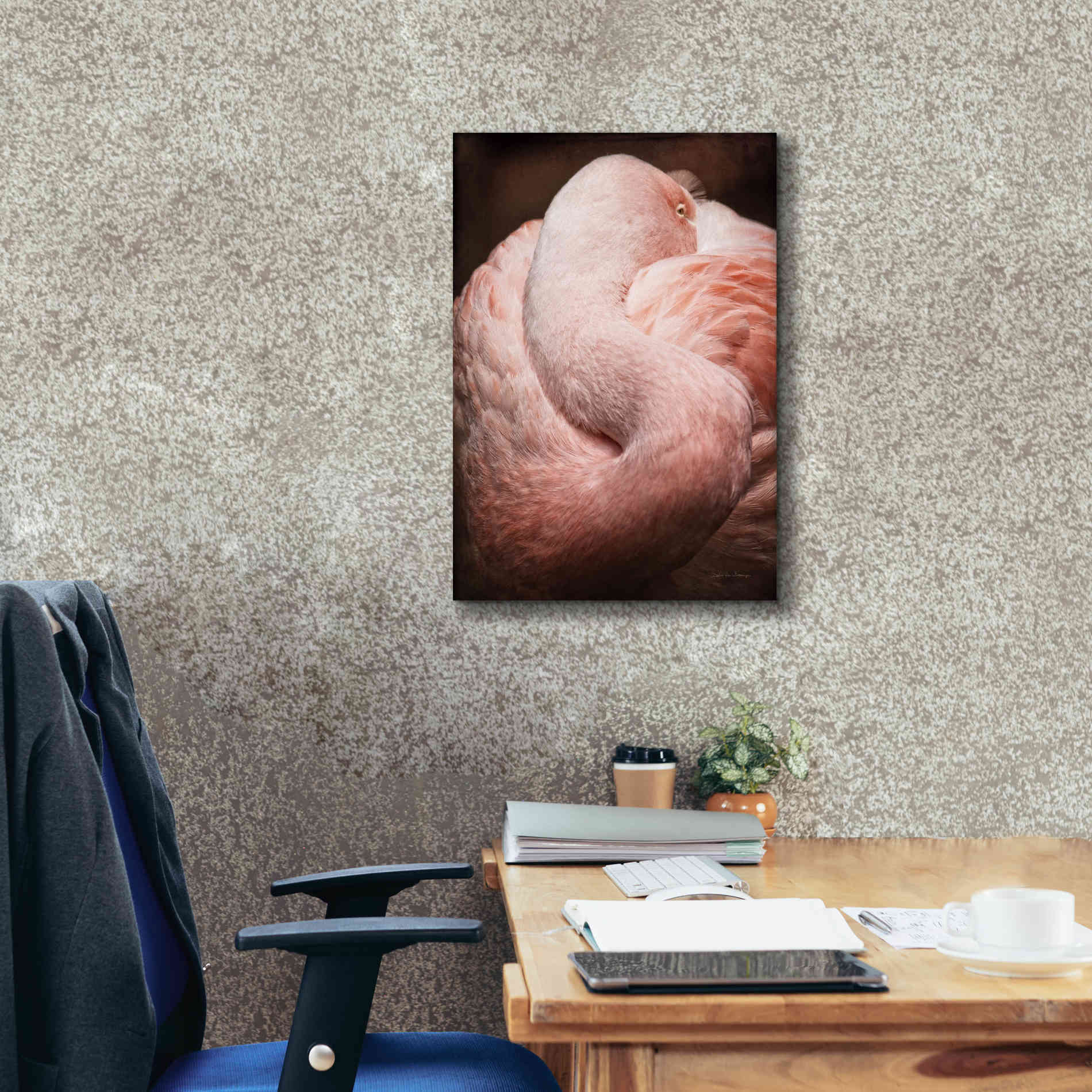 'Chilean Flamingo I' by Debra Van Swearingen, Canvas Wall Art,18 x 26
