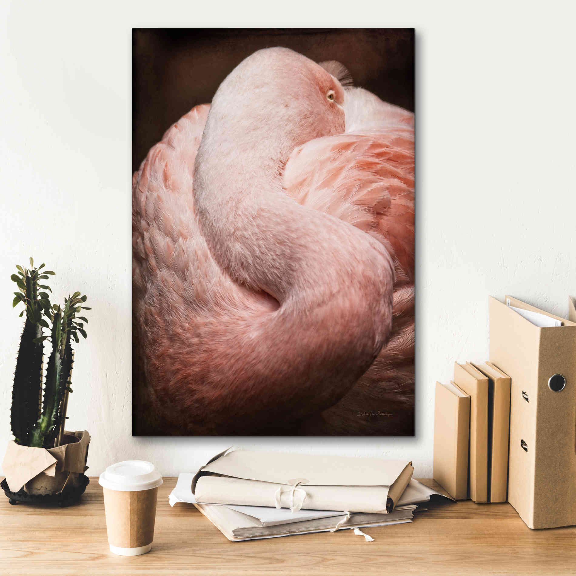 'Chilean Flamingo I' by Debra Van Swearingen, Canvas Wall Art,18 x 26