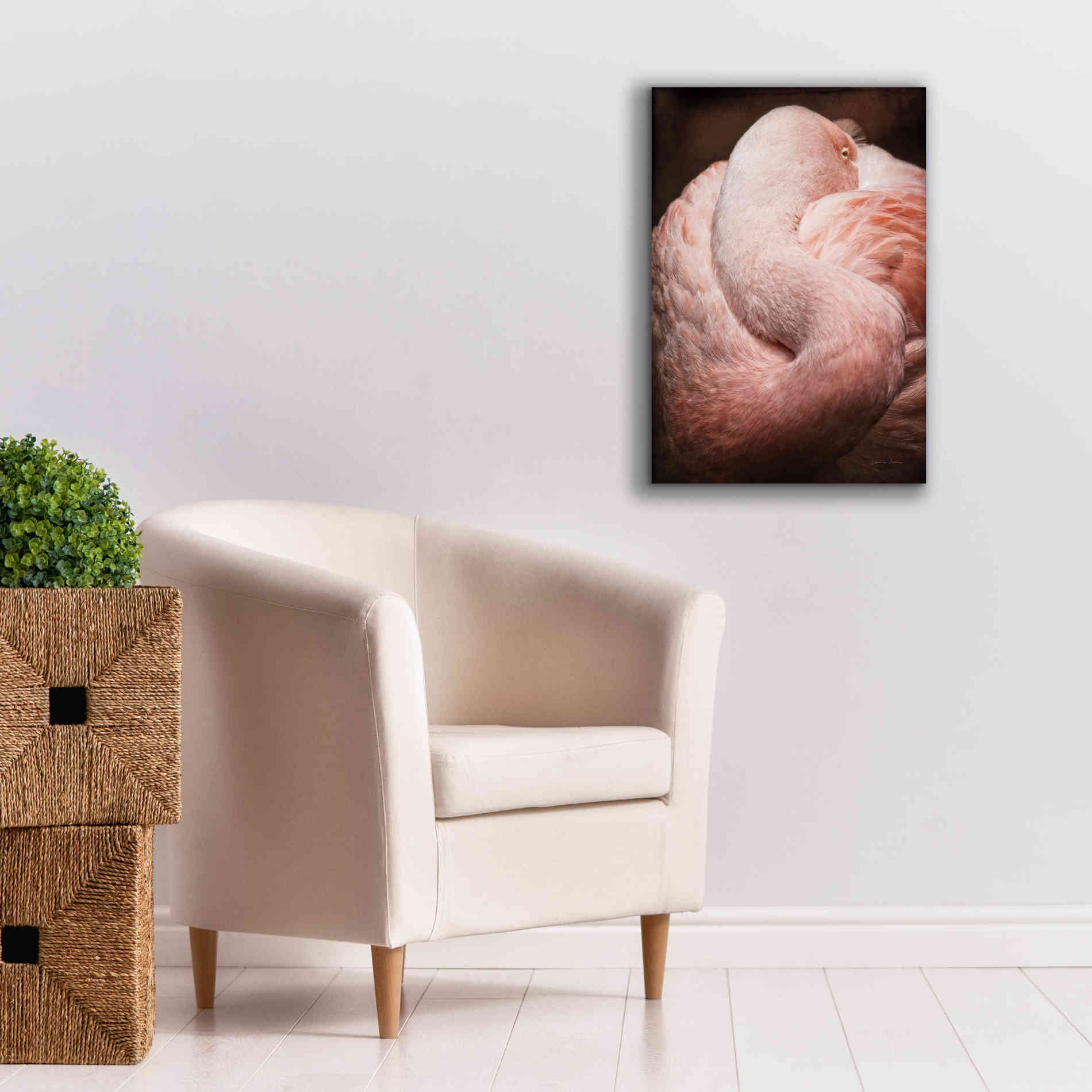 'Chilean Flamingo I' by Debra Van Swearingen, Canvas Wall Art,18 x 26