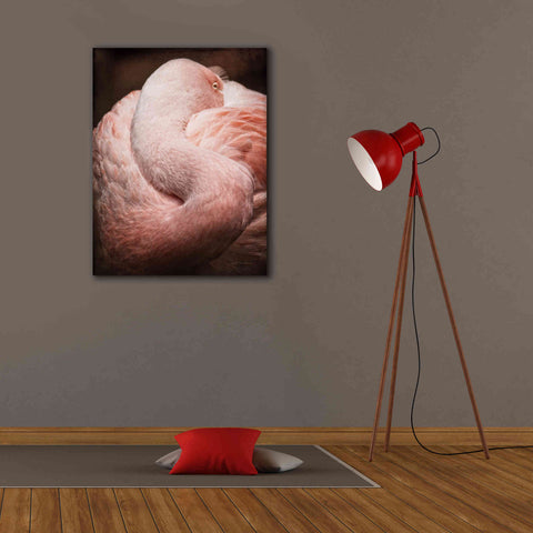 Image of 'Chilean Flamingo I' by Debra Van Swearingen, Canvas Wall Art,26 x 34
