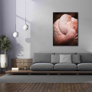 'Chilean Flamingo I' by Debra Van Swearingen, Canvas Wall Art,40 x 54
