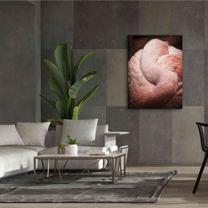 'Chilean Flamingo I' by Debra Van Swearingen, Canvas Wall Art,40 x 54